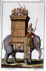 El elefante que los cartagineses usaban como animal de trabajo y guerra. grabado - en “Enciclopedia universal ilustrada”