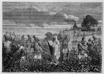 Las viñas arrancadas en las Galias, por orden del emperador Domiciano - en “Las maravillas de la industria” por Louis Figuier, París