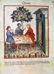 Tratado de medicina: "ebriedad". Página tomada de "Tacuinum sanitatis" (circa 1400)