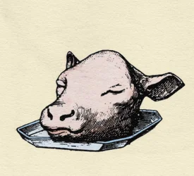 Cabeza de ternera, grabado de finales del siglo XIX