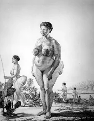 Venus Hotentote de Sudáfrica