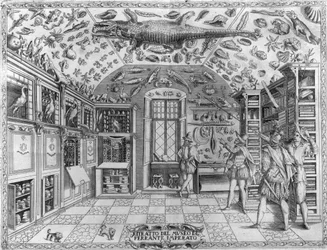Vista del museo (gabinete) de curiosidades (museo enciclopédico) del farmacéutico Ferrante Imperato (1550 - 1631). Grabado de 1678. Museo del boticario napolitano Ferrante Imperato.