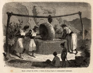 Trabajo de las mujeres, molienda de aceitunas, uno de los principales productos agrícolas del Djurdjura, Argelia. Grabado para ilustrar la excursión a la Gran Cabilia, entre el Mediterráneo y el Djurdjura, en 1864, por el comandante Duhousset, en «Le Tour