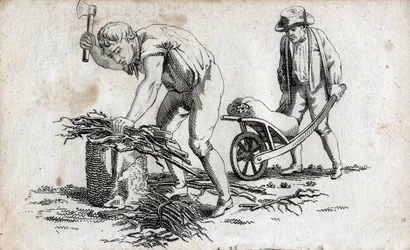 Leñadores haciendo haces de leña y hombre llevando haces en una carretilla. Grabado de finales del siglo XVIII. Colección privada.