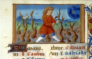 Zodiaco Aries y tamaño del árbol - Miniatura de la Edad Media (ref. 137, 047r) - Solicitar permiso a la Biblioteca Municipal de Toulouse (tel: 05 62 27 66 66)