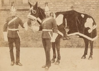Un caballo del 3º