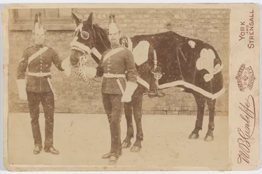 Un caballo del 3er