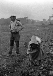 Couple de peasants working la terre, Somme 1921 Fotografía (Campesinos franceses trabajando en el campo, Somme 1921) Colección particular