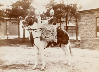 Caballo de tambor, 3er Dragones de la Guardia del Príncipe de Gales, 1895 circa