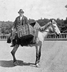 Hombre irlandés en su caballo (siglo XIX)