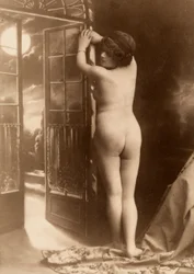 Retrato desnudo de una mujer joven vista de espaldas.