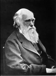 Retrato fotográfico de Charles Darwin (1809 - 1882), naturalista inglés. 1881