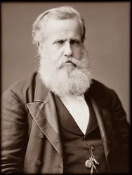 Retrato de Dom Pedro II, Emperador de Brasil