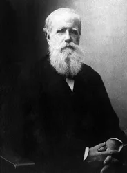 Retrato de Dom Pedro de Alcántara (Pedro II) (1825-1891), Emperador de Brasil.
