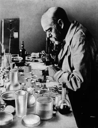 Retrato del médico alemán Robert Koch (1843-1910) en su laboratorio.