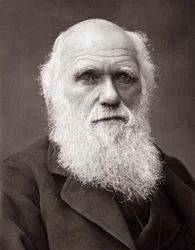 El naturalista inglés Charles Robert Darwin (1809-1882)