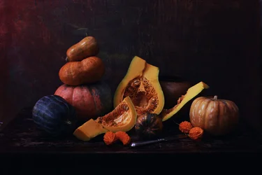 Calabazas rústicas de la cosecha