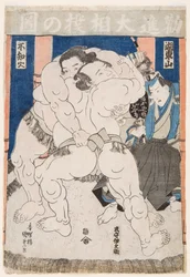 Combate de luchadores de sumo