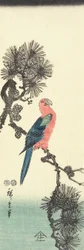 (Loro en pino), 1847-1852