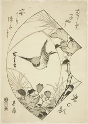 Flor de otoño y gorrión