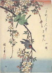 Pájaros en una rama de cerezo