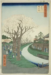 Flores en el terraplén del río Tama, de la serie "Cien vistas famosas de Edo"