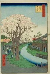 Flores en el terraplén del río Tama (Tamagawa-zutsumi no hana), de la serie "Cien vistas famosas de Edo (Meisho Edo hyakkei)"