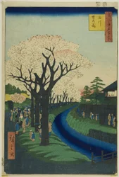 Flores en el terraplén del río Tama (Tamagawa-zutsumi no hana), de la serie "Cien vistas famosas de Edo (Meisho Edo hyakkei)"