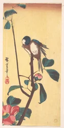 Camelia y pájaro de cabeza azul