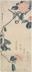Camelia y camachuelo