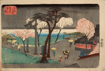 Cerezos en lluvia en el terraplén del río Sumida