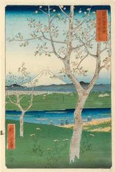 Fuji desde Koshigaya, Musashi, n.º 14 de la serie «36 vistas del monte Fuji», «Fuji Saryu Rokkei»