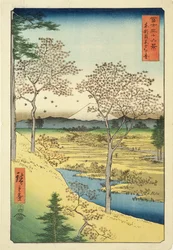 El Fuji desde Yuhi-Ga, Megwo, n.º 10 de la serie «36 vistas del monte Fuji» («Fuji Saryu Rokkei»)