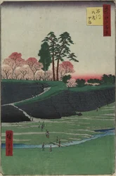 Colina Gotenyama, Shinagawa, abril de 1856