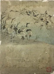 Garzas entre la hierba