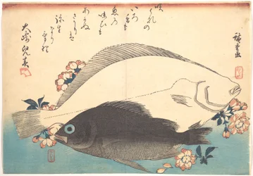 Peces hirame y mebaru con flores de cerezo, de la serie Uozukushi - Todas las variedades de peces