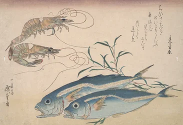 Jurel, Gambas de Agua Dulce y Algas