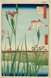 Lirios en Horikiri, de la serie "Cien vistas famosas de Edo"