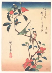 Zosteropo japonés y carbonero en una rama de camelia
