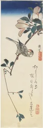 Gorrión de Java y Magnolia, 1834-1839