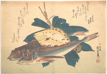Peces Kanagashira y Karei, de la serie Uozukushi (Todas las variedades de peces)