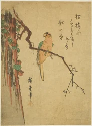 Guacamayo en un árbol cubierto de hiedra