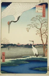 Minowa, Kanasugi, Mikawashima, de la serie “Cien vistas famosas de Edo (Meisho Edo hyakkei)”