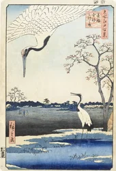 Minowa, Kanasugi y la isla de Mikawa