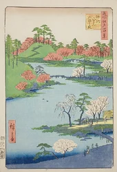 Inauguración del jardín del santuario de Fukagawa Hachiman (Fukagawa Hachiman yamabiraki), nº 68 de la serie "Cien vistas famosas de Edo (Meisho Edo hyakkei)".