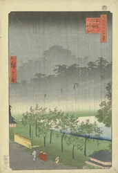 Plantación de paulownia en Akasaka bajo la lluvia vespertina
