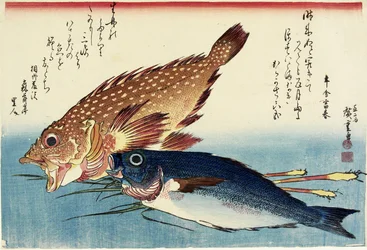 Pez escorpión, pez gallo y brotes de jengibre, c. 1832