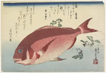 Besugo y ramitas de sansho, c. 1832