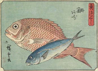 Pargo y Caballa, 1830-1844