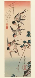 Tanzaku, Cuatro golondrinas, 1832